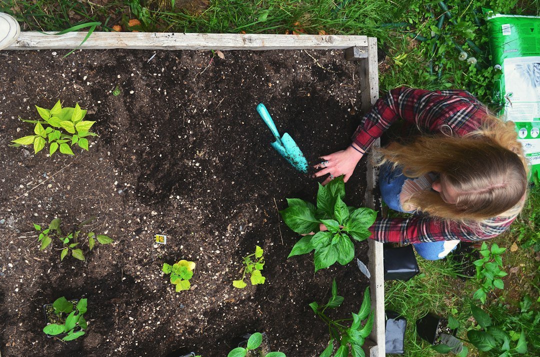 Woman tending plants in a raised garden bed