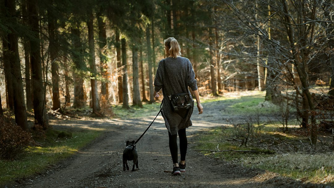 Woman walking a dog outdoors